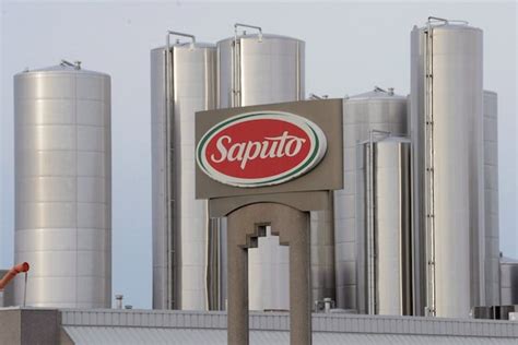saputo stock globe and mail.
